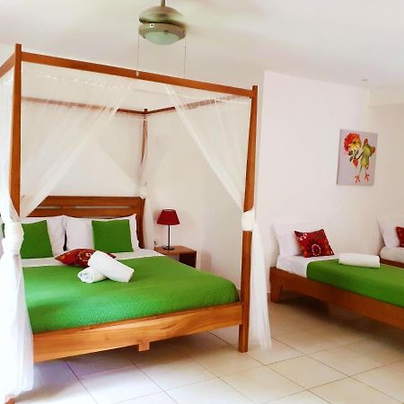 فندق Casa Mapache تاماريندو المظهر الخارجي الصورة