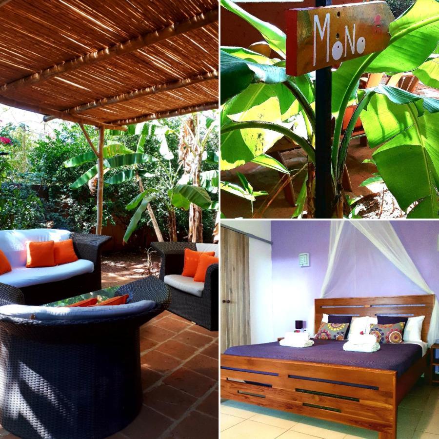 فندق Casa Mapache تاماريندو المظهر الخارجي الصورة