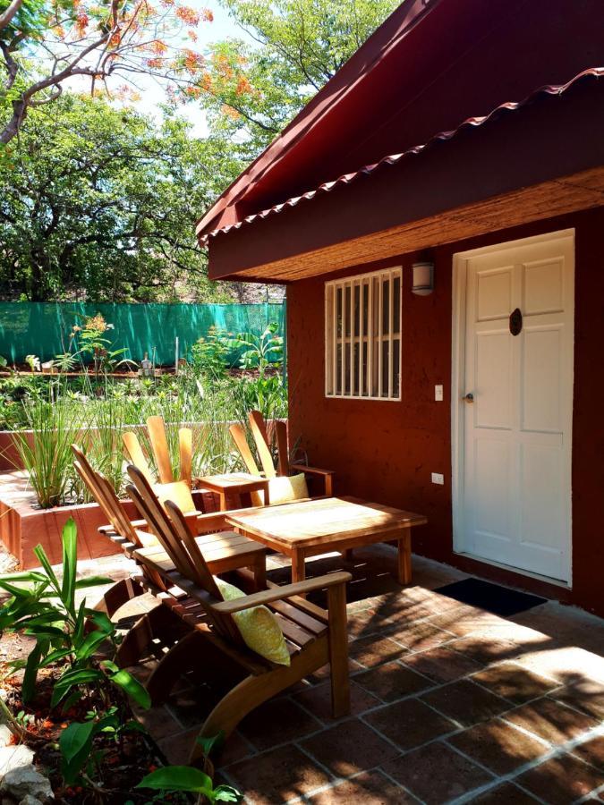 فندق Casa Mapache تاماريندو المظهر الخارجي الصورة