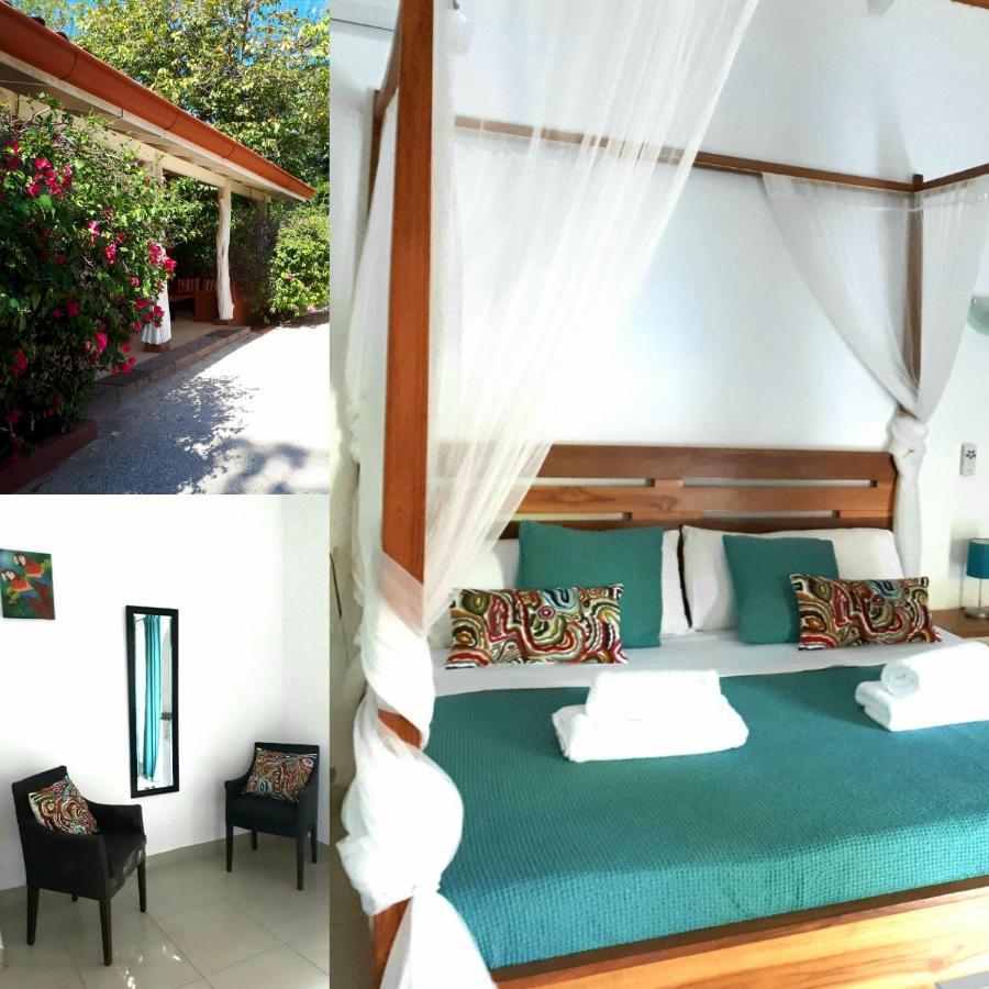 فندق Casa Mapache تاماريندو المظهر الخارجي الصورة