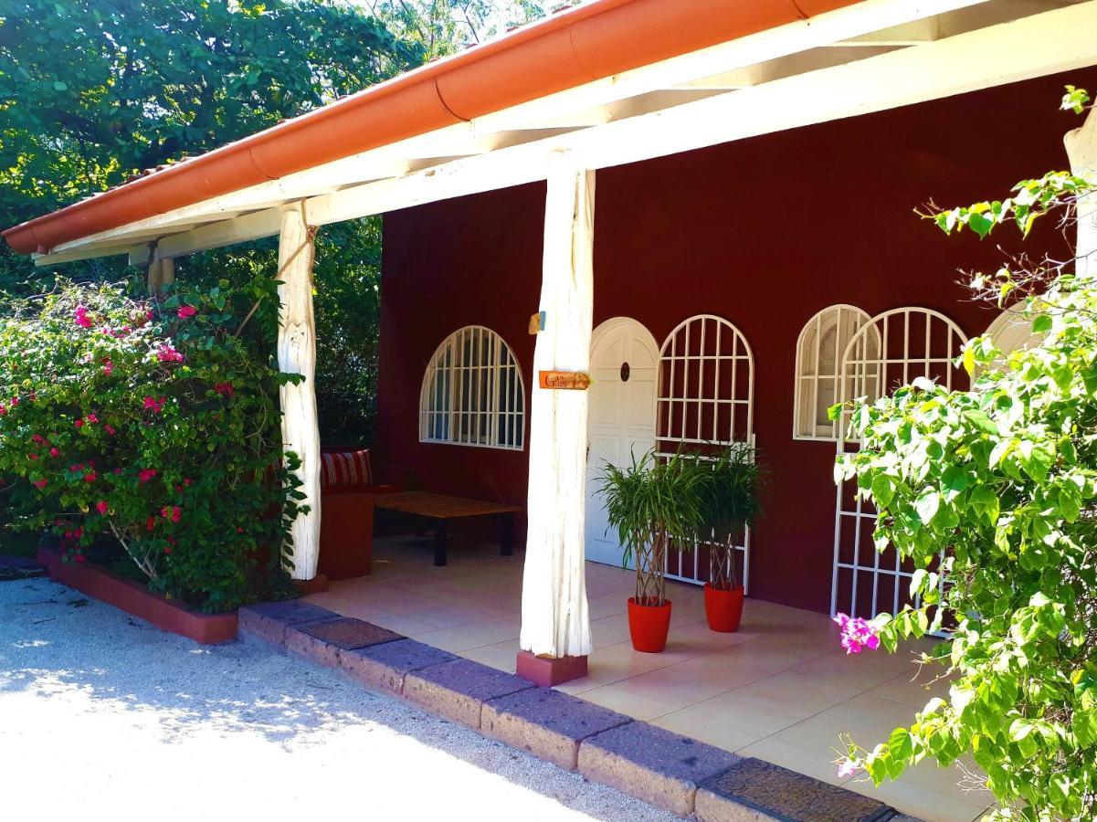 فندق Casa Mapache تاماريندو الغرفة الصورة
