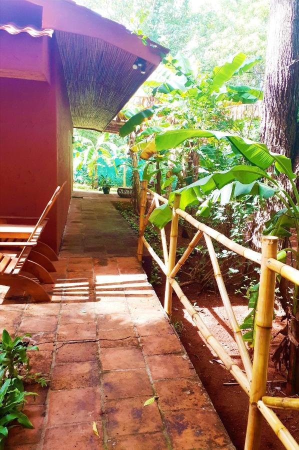 فندق Casa Mapache تاماريندو المظهر الخارجي الصورة