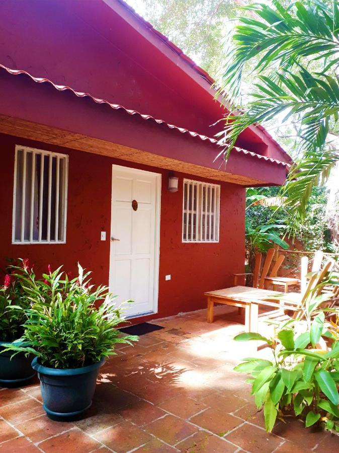 فندق Casa Mapache تاماريندو المظهر الخارجي الصورة