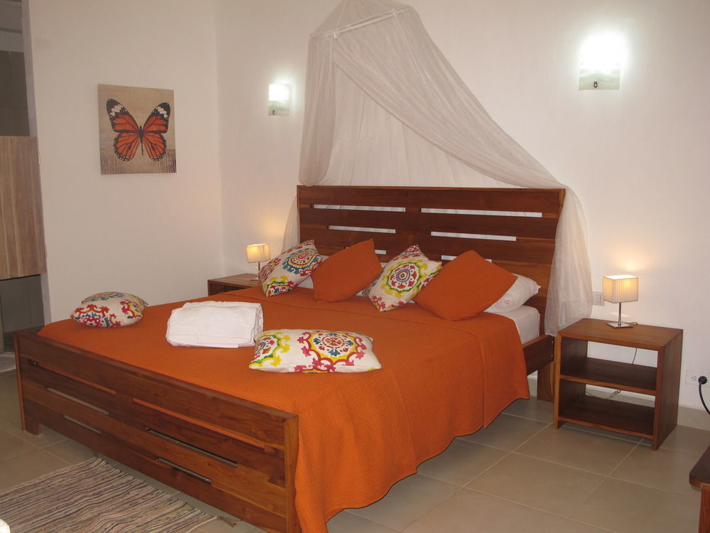 فندق Casa Mapache تاماريندو المظهر الخارجي الصورة
