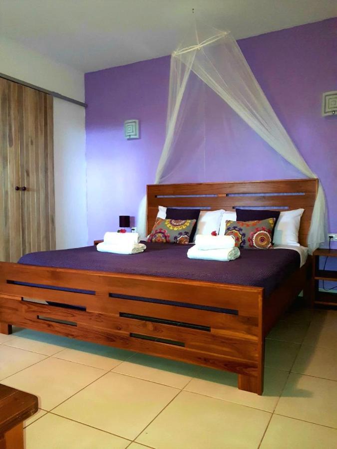 فندق Casa Mapache تاماريندو المظهر الخارجي الصورة
