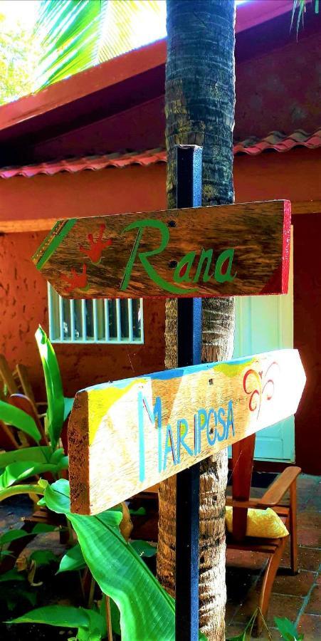 فندق Casa Mapache تاماريندو المظهر الخارجي الصورة