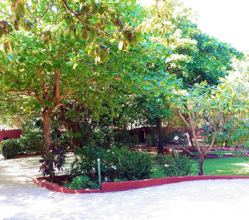 فندق Casa Mapache تاماريندو المظهر الخارجي الصورة