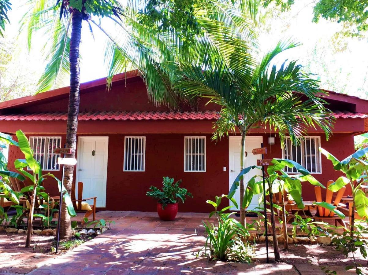 فندق Casa Mapache تاماريندو المظهر الخارجي الصورة
